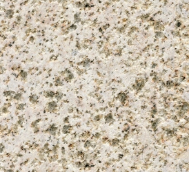 黃金麻(火燒面)