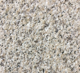 白麻2號荔枝面